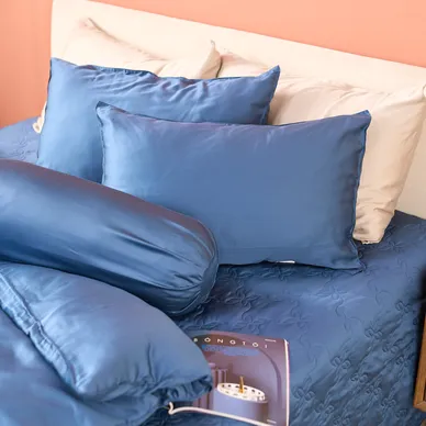 Bộ ga phủ + chăn chần Amando Wellness Tencel Luxe - Ảnh 24