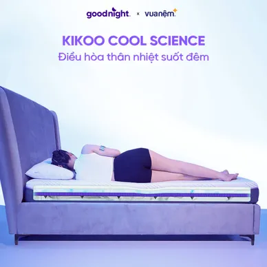 Nệm foam công nghệ Đức Goodnight Active Hybrid dày 20cm - Ảnh 7