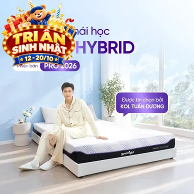 (Phiên bản Pro 2026 - x3 Kikoo) Nệm foam Goodnight Active Hybrid làm mát - Ảnh 10