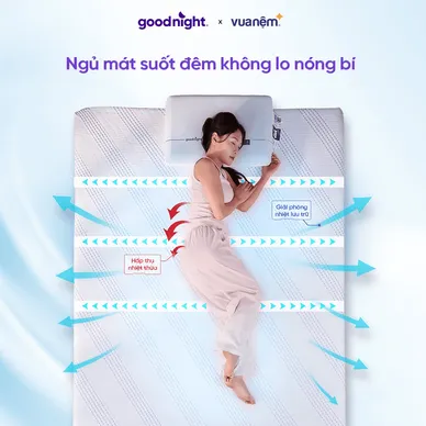 (Phiên bản 2026 - Gấp 3 Kikoo) Nệm foam Mát Lạnh Goodnight Active Hybrid - Ảnh 5