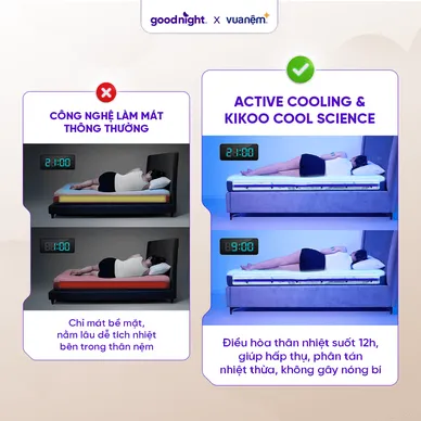 Nệm foam công nghệ Đức Goodnight Active Hybrid dày 20cm - Ảnh 17