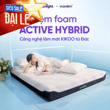 Nệm foam công nghệ Đức Goodnight Active Hybrid dày 20cm - Ảnh 2