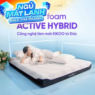 Nệm foam công nghệ Đức Goodnight Active Hybrid dày 20cm - Ảnh 2