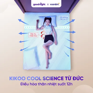 Nệm foam công nghệ Đức Goodnight Active Hybrid dày 20cm - Ảnh 8