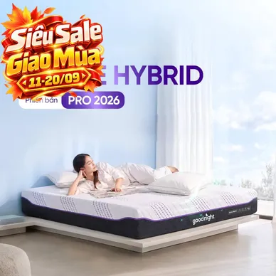 (Phiên bản Pro 2026 - x3 Kikoo) Nệm foam Goodnight Active Hybrid làm mát - Ảnh 2
