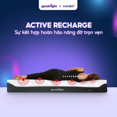 Nệm foam công nghệ Đức Goodnight Active Hybrid dày 20cm - Ảnh 4