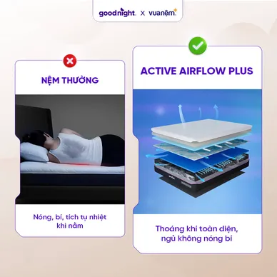 (Phiên bản 2026 - Gấp 3 Kikoo) Nệm foam Mát Lạnh Goodnight Active Hybrid - Ảnh 20