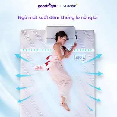 Nệm foam công nghệ Đức Goodnight Active Hybrid dày 20cm - Ảnh 5