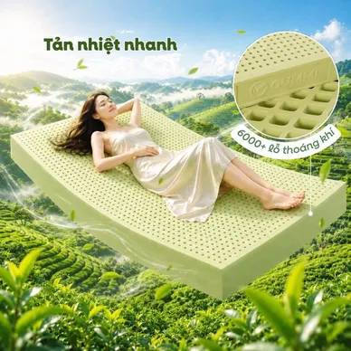 Nệm Gummi Signature – Công nghệ kép, nâng đỡ vượt trội, kháng khuẩn tối đa - Ảnh 6