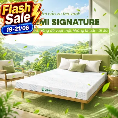 Nệm Gummi Signature – Công nghệ kép, nâng đỡ vượt trội, kháng khuẩn tối đa - Ảnh 3