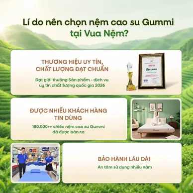 Nệm Gummi Signature – Công nghệ kép, nâng đỡ vượt trội, kháng khuẩn tối đa - Ảnh 10