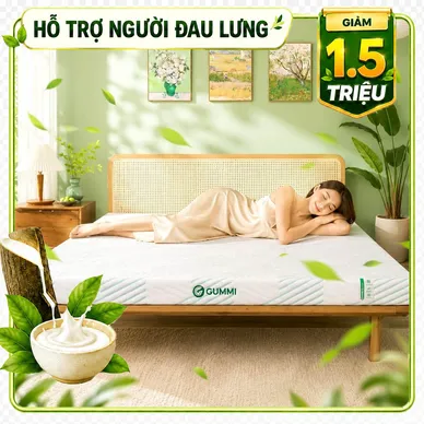 Nệm Gummi Signature – Công nghệ kép, nâng đỡ vượt trội, kháng khuẩn tối đa - Ảnh 2