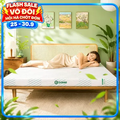 Nệm Gummi Signature – Công nghệ kép, nâng đỡ vượt trội, kháng khuẩn tối đa - Ảnh 2