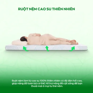Nệm Gummi Signature – Công nghệ kép, nâng đỡ vượt trội, kháng khuẩn tối đa - Ảnh 9
