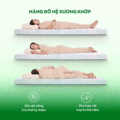 Nệm Gummi Signature – Công nghệ kép, nâng đỡ vượt trội, kháng khuẩn tối đa - Ảnh 8