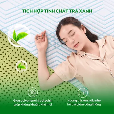 Nệm Gummi Signature – Công nghệ kép, nâng đỡ vượt trội, kháng khuẩn tối đa - Ảnh 6