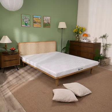 Vỏ áo đệm Gummi Cool - Ảnh 4