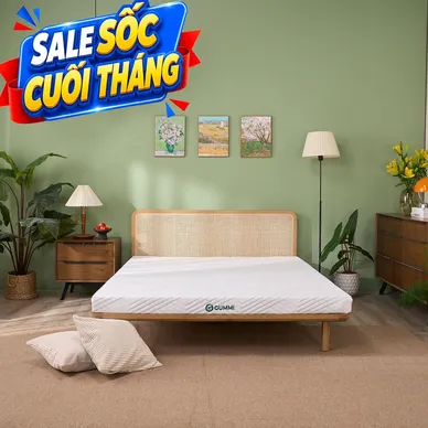 Vỏ áo đệm Gummi Cool - Ảnh 2