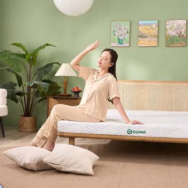 Vỏ áo đệm Gummi Cool - Ảnh 11