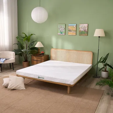 Vỏ áo đệm Gummi Cool - Ảnh 3