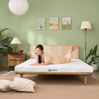 Vỏ áo đệm Gummi Cool - Ảnh 10