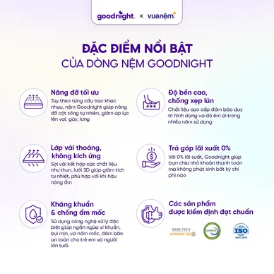 Nệm Foam Goodnight Massage 1.0 - Ảnh 7