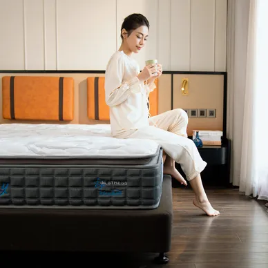 Nệm lò xo Dunlopillo de.Stress Energy công nghệ cách ly chuyển động - Ảnh 20