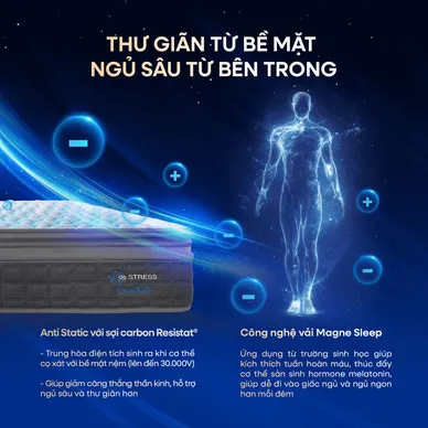 Nệm lò xo Dunlopillo de.Stress Release túi độc lập phân 5 vùng nâng đỡ chuyên sâu - Ảnh 12