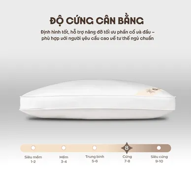 Gối bông Amando Kapok Premium - Ảnh 3