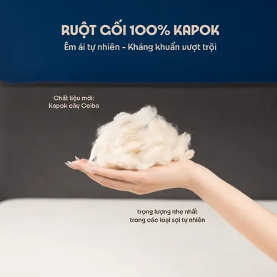 Gối bông Amando Kapok Premium - Ảnh 4