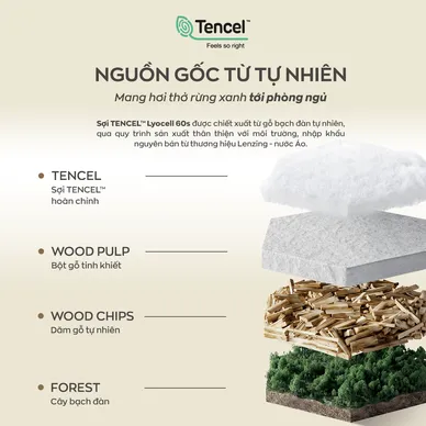 Bộ ga chun Amando Wellness Tencel Luxe Họa Tiết 4CT - Tencel 60S tinh tế - Ảnh 2