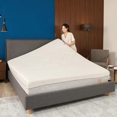 Giường bọc nệm Amando Nest - Ảnh 7