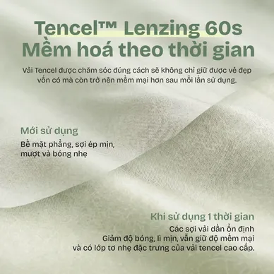 Bộ ga chun Goodnight Signature - Ảnh 14