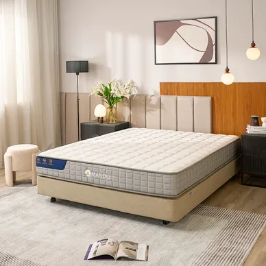 [SẢN PHẨM MỚI] Nệm lò xo Amando Elite Flip túi độc lập thiết kế 2 mặt linh hoạt dày 24cm - Ảnh 3