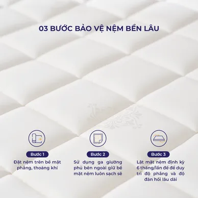 [SẢN PHẨM MỚI] Nệm lò xo Amando Elite Flip túi độc lập thiết kế 2 mặt linh hoạt dày 24cm - Ảnh 16