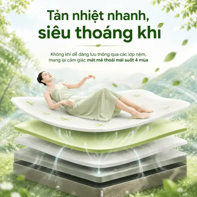 Nệm cao su Gummi Hybrid - công nghệ đa tầng, gấp 2 kháng khuẩn, siêu thoáng mát - Ảnh 9