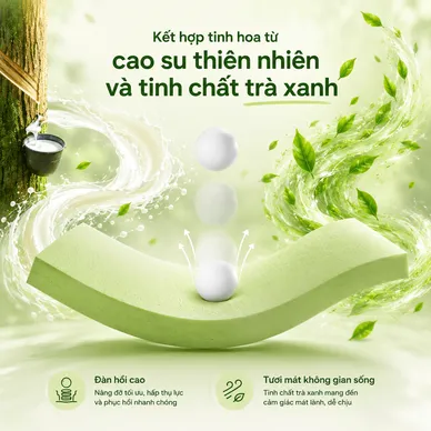 Nệm cao su Gummi Hybrid - công nghệ đa tầng, gấp 2 kháng khuẩn, siêu thoáng mát - Ảnh 5