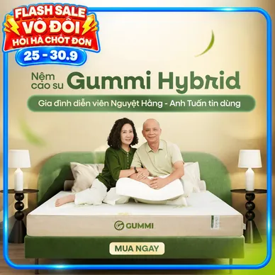 Nệm cao su Gummi Hybrid - công nghệ đa tầng, kháng khuẩn, siêu thoáng mát - Ảnh 2