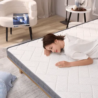 Nệm foam iComfy Basic 1.0 giá tiết kiệm - Ảnh 5