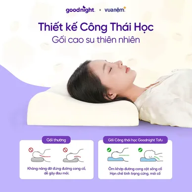 Gối cao su thiên nhiên công thái học Goodnight Tofu - Ảnh 3