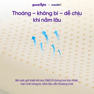 Gối cao su thiên nhiên công thái học Goodnight Tofu - Ảnh 9