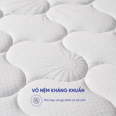 Nệm lò xo giảm đau lưng Amando Goodnight Magic - Ảnh 4