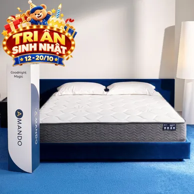 Nệm lò xo túi độc lập thế hệ mới Amando Goodnight Magic nâng đỡ êm ái 20cm - Ảnh 2