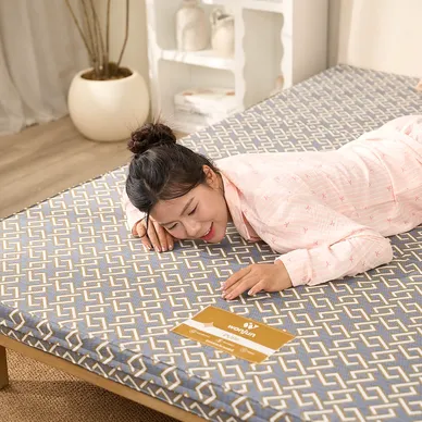 Nệm Bông ép Wonjun Pure (Gấp 3) - Ảnh 17