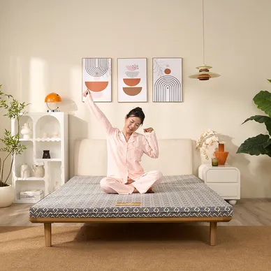 Nệm Bông ép Wonjun Pure (Gấp 3) - Ảnh 21