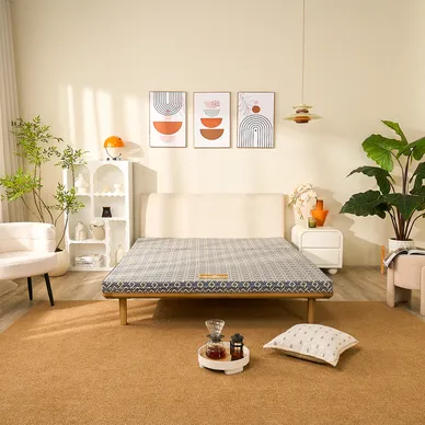 Nệm Bông ép Wonjun Pure (Gấp 3) - Ảnh 3