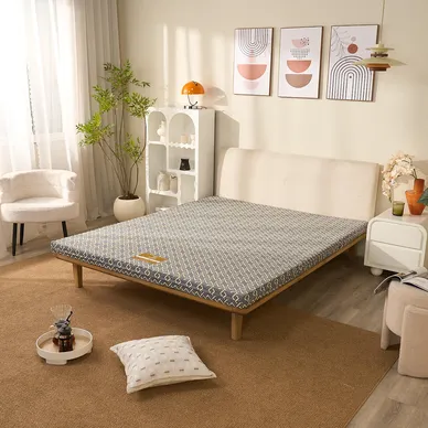 Nệm Bông ép Wonjun Pure (Gấp 3) - Ảnh 4