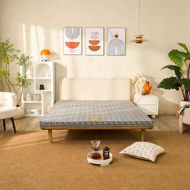 Nệm Bông ép Wonjun Pure (Gấp 3) - Ảnh 4