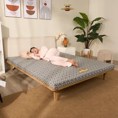 Nệm Bông ép Wonjun Pure (Gấp 3) - Ảnh 13