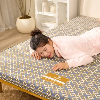 Nệm Bông ép Wonjun Pure (Gấp 3) - Ảnh 16